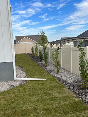 Landscaped Yard